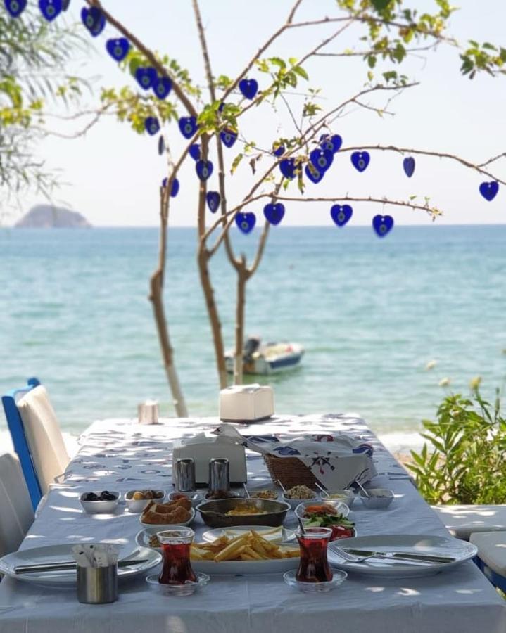 Okaliptus Butik Hotel 페티예 외부 사진